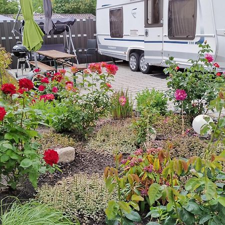 Schoene Neu Erbaute Wohnung Berlin Eksteriør billede